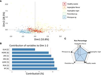 Fungal identification in peanuts seeds through multispectral images: Technological advances to enhance sanitary quality